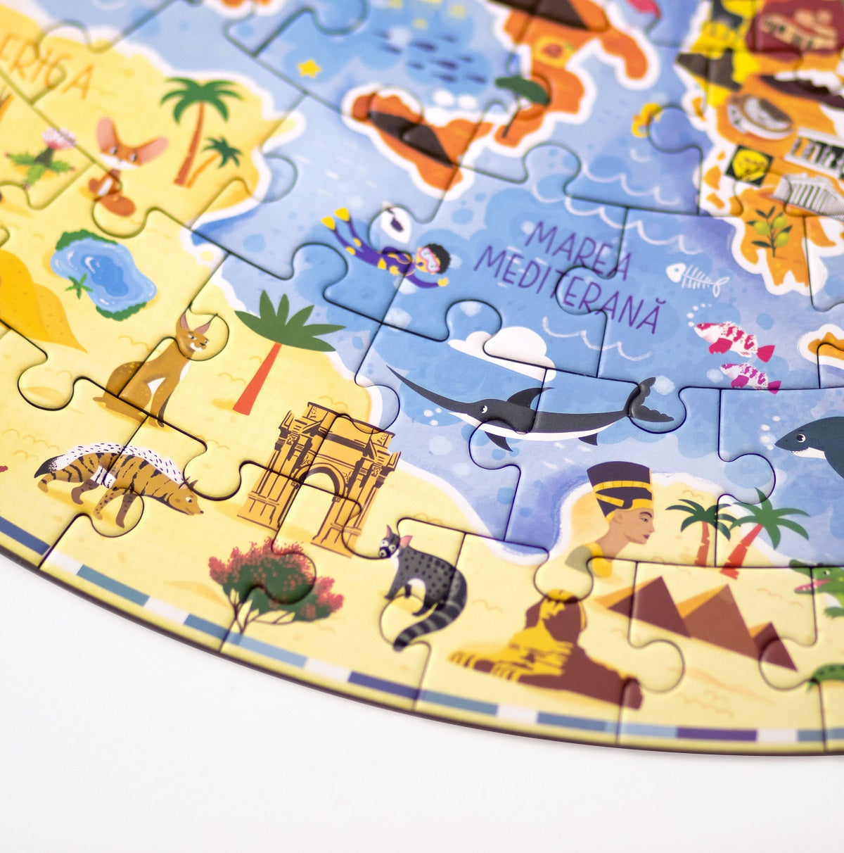 Puzzle rotund Mimorello - Harta Europei, 160 piese